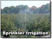 Sprinkler Irrigation