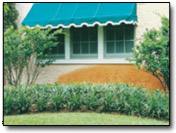 Iron Removal & Prevention